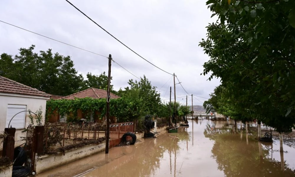 Αυγενάκης: "Είμαστε αποφασισμένοι να στηρίξουμε τους αγρότες της Θεσσαλίας"